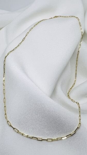 Küçük Ataç Zincir Altın Kolye