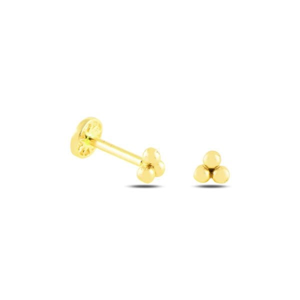 3 Top Tragus
