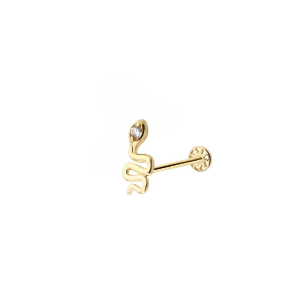 Taşlı Yılan Tragus